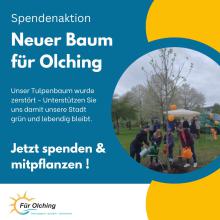Neuer Baum